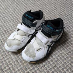 屋内用スポーツシューズの画像