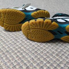 屋内用スポーツシューズの画像