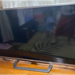 引渡し者決定(テレビ　ジャンク品　0円 