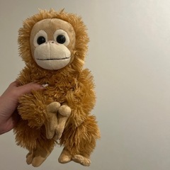 【本日4/6限定値下げ】ベビーココの画像