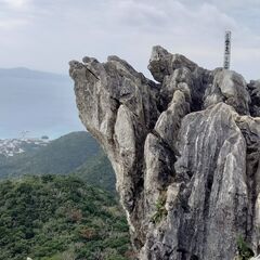 林道散策、観察、ハイキングほかの画像