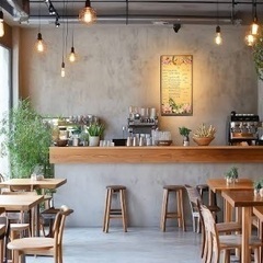 カフェ・ランチ開拓