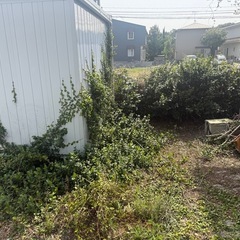 予約殺到中！伐採、剪定、抜根、草刈り、草むしり地域最安！！の画像