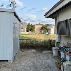 予約殺到中！伐採、剪定、抜根、草刈り、草むしり地域最安！！の画像