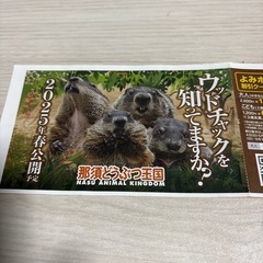 那須どうぶつ王国　半額割引券