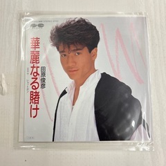 K2504-120 配送不可 CANYON EPレコード 田原俊...