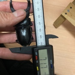 神童幼稚園制服サイズ120 (まりな) 豊中のその他の中古あげます