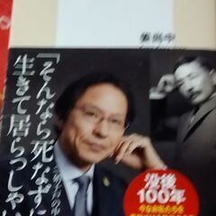 夏目漱石のことば、中古