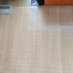 フローリングタイプ電気カーペット（3畳相当）の画像