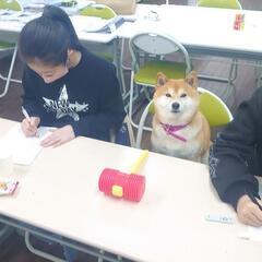 中学生向けGW短期集中無料指導