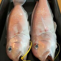船釣り仲間募集 − 滋賀県