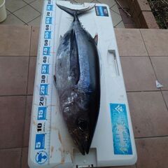 船釣り仲間募集