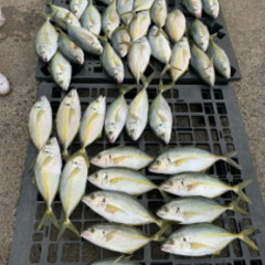船釣り仲間募集 - メンバー募集