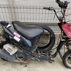 セピアV100/スズキ/原付/スクーターの画像
