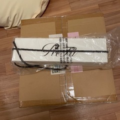 Refa ストレートアイロン　プロ