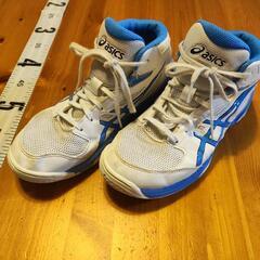 バスケットシューズ　asics  DUNKSHOT