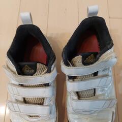 野球　トレシュー　21センチの画像