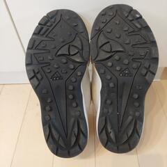 野球　トレシュー　21センチの画像