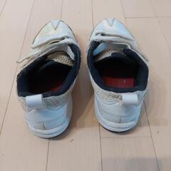 野球　トレシュー　21センチの画像