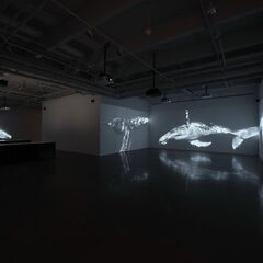 　サウンドウォーク・コレクティヴ & パティ・スミス｜コレスポンデンス東京都現代美術館に一緒に行って下さる方を募集しています（観覧は無料です）の画像