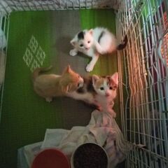 ★決まりました★