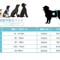 犬用マナーベルト(女の子用)の画像