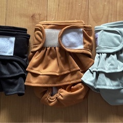 犬用マナーベルト(女の子用)の画像