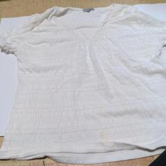 Tシャッ
