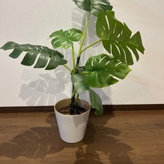 観葉植物（フェイク）