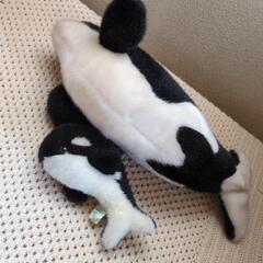 シャチの親子ぬいぐるみの画像
