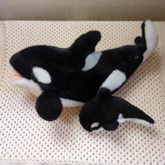 シャチの親子ぬいぐるみ