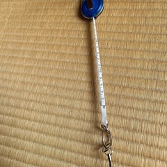 値下げしました　メジャー付きキーホルダー　大江千里の取り外せる6連キーホルダーの画像
