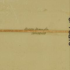 　サーフボード(ロング)の画像