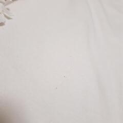 Hushush 110㌢ 長袖カットソー『タグ付未使用品』の画像