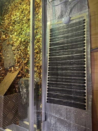 爬虫類、カメやフトアゴ等の飼育　三晃商会