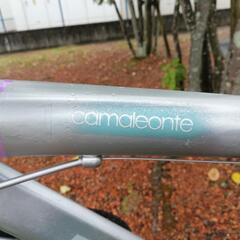 【値下げ！】Bianchi camaleonte special editionの画像