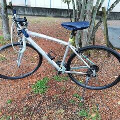 【値下げ！】Bianchi camaleonte special...