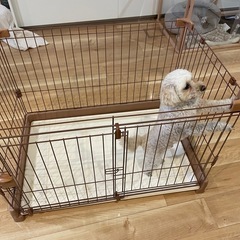 受付停止します！ワンちゃん用サークルまだまだキレイ！（犬は付属しません）の画像