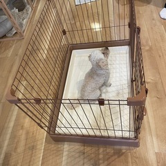 受付停止します！ワンちゃん用サークルまだまだキレイ！（犬は付属しません）の画像