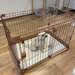 ワンちゃん用サークルまだまだキレイ！（犬は付属しません）