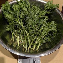 野菜セット(ほうれん草+菊菜)の画像