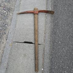 タケノコ掘り(孟宗竹)　２８日(月)のみ受付　　の画像