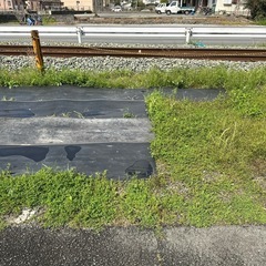 ★中古車展示場★貸土地中古車販売 - 不動産