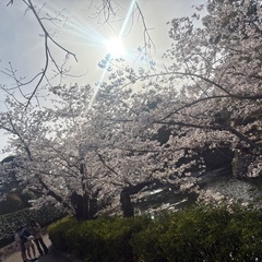 一緒にユニバ行きませんか？