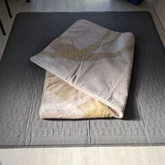ホットカーペット２畳用(ラグ付き)