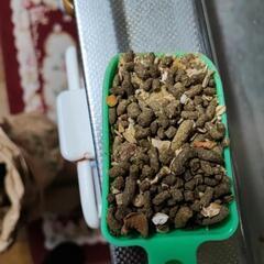 小動物フード差し上げます