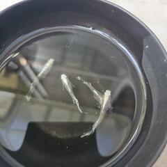 メダカ　わたげ