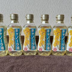 SHOWA　昭和産業　キャノーラ油　コレストロール０　300G　６setの画像