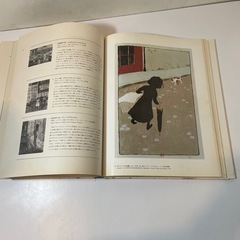 画集　ボナール　マティスの画像