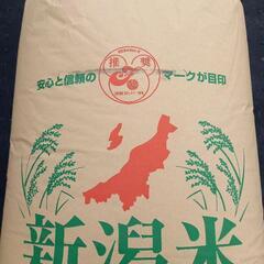 令和6年産新之助　玄米30キロ